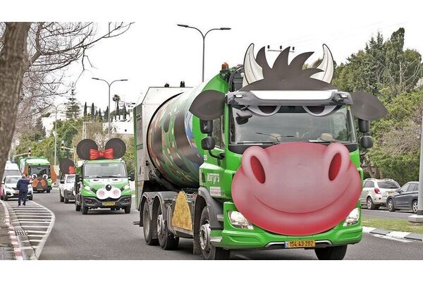 צילום: תומר רחמני