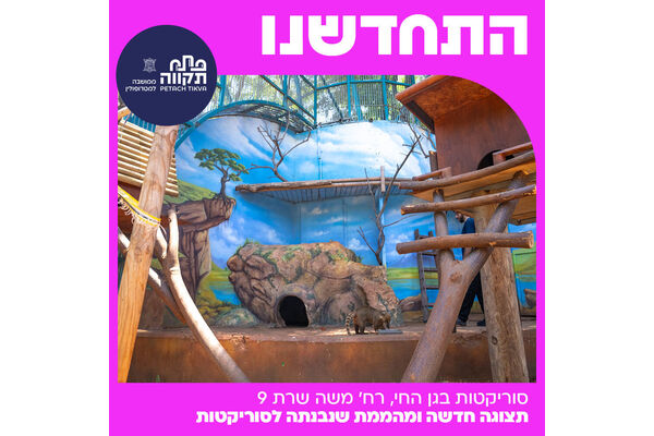 צילום מתוך דף הפייסבוק עיריית פתח תקווה