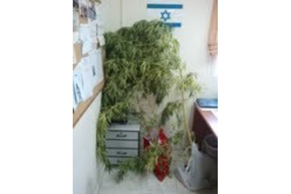 תמונת ארכיון