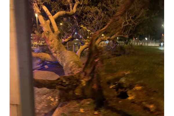 קרדיט: עיריית חולון