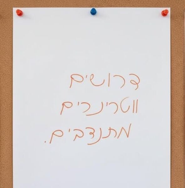 צילום מתוך דף הפייסבוק עמותת ראשון אוהבת חיות