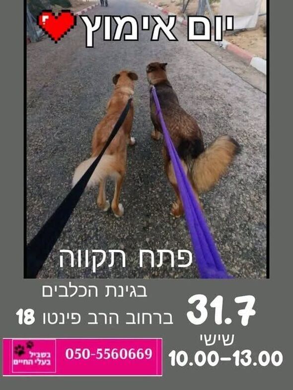 צילום מתוך דף הפייסבוק צדוק בן משה - סגן ראש העיר פ"ת
