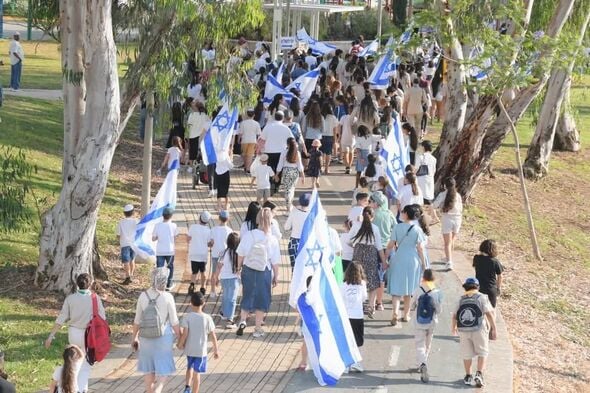 צילום: עמרם כהן
