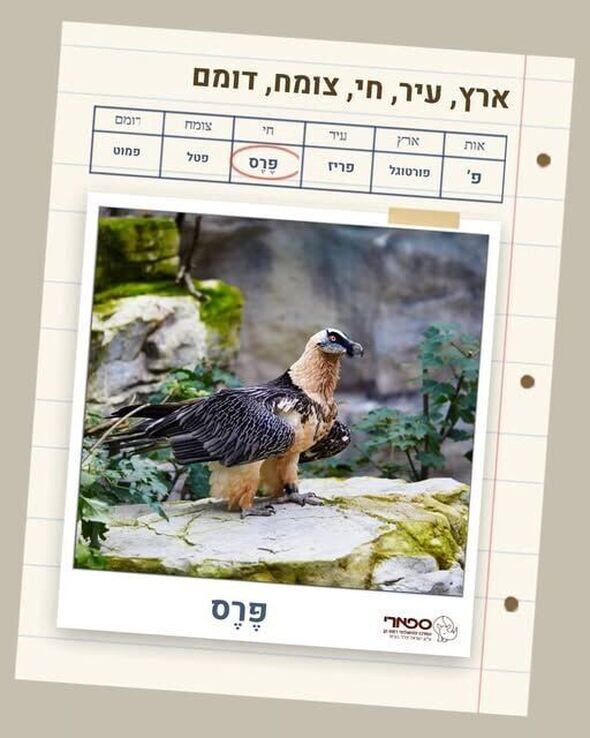 צילום מתוך דף הפייסבוק ספארי רמת גן Ramat Gan Safari