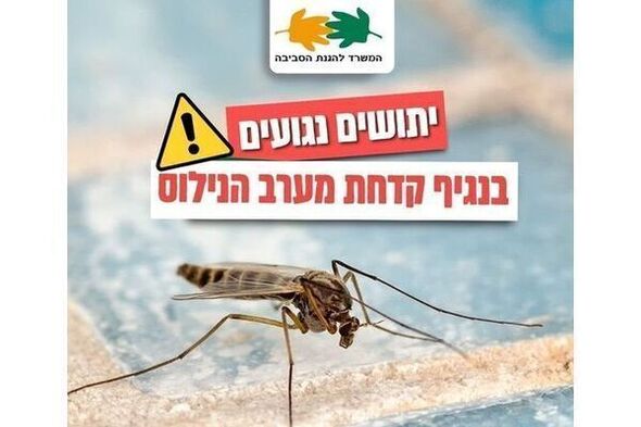 צילומים: אבי כהן