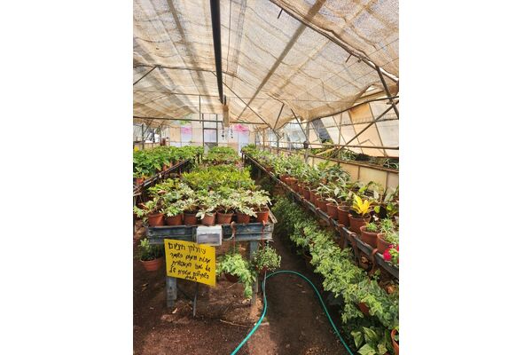 צילום מתוך דף הפייסבוק החווה החקלאית פתח תקוה