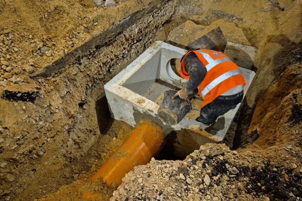 צילום מתוך דף הפייסבוק רון חולדאי