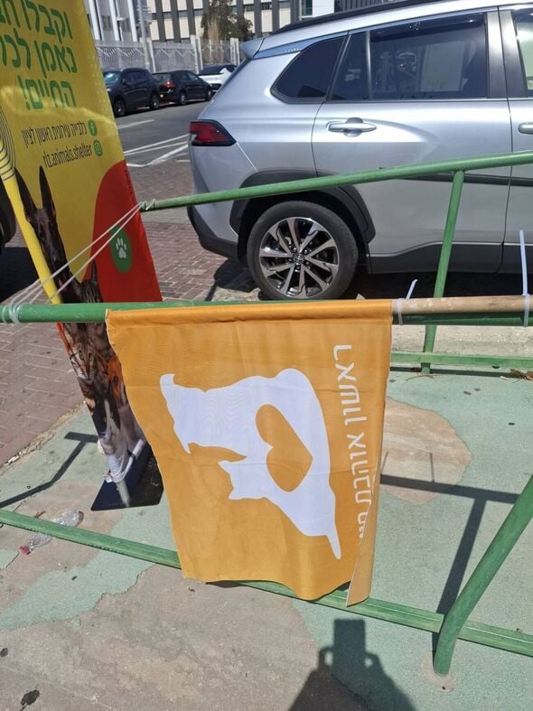 צילום מתוך דף הפייסבוק עמותת ראשון אוהבת חיות