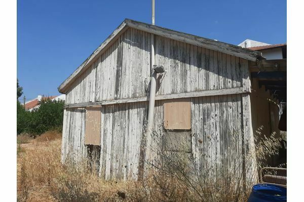 קרדיט: יעל קרטגינר