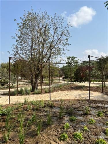 צילום: אורי לווינגר עבור סטודיו אורבנוף 