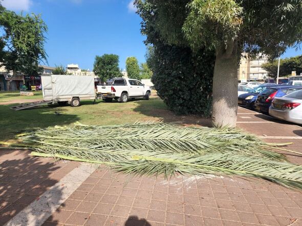 צילום: דוברות עיריית בת-ים