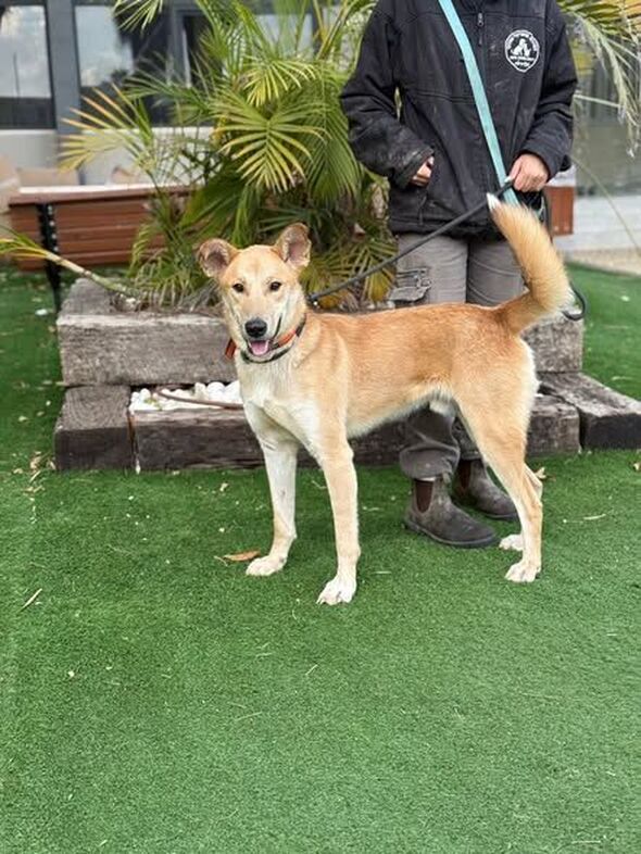 צילומים: עיריית גבעתיים