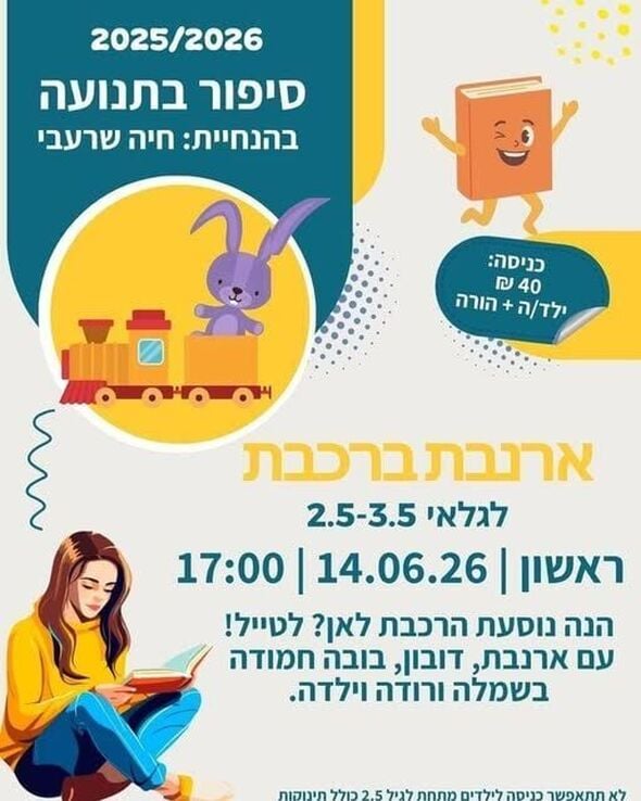 צילום מתוך דף הפייסבוק חוויות רחובות החדשה -שוויץ