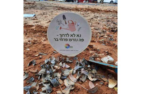 צילום: ענת אהוד2