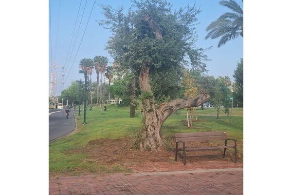 צילום מתוך דף הפייסבוק גני יהושע