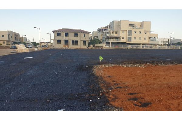 קרדיט: הדף של גבי גאון