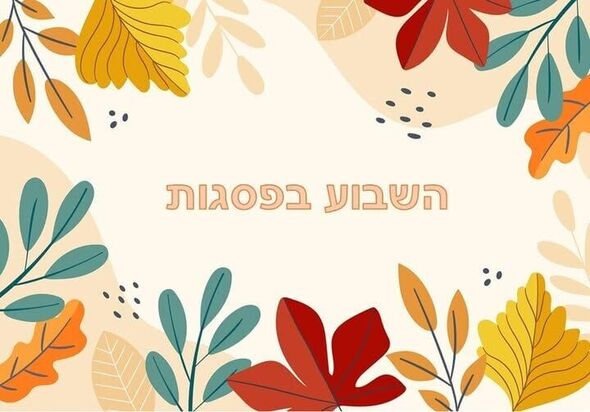 צילום מתוך דף הפייסבוק אזרחים ותיקים - חולון