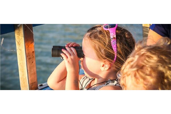 צילומים: צילום ראש ציפור