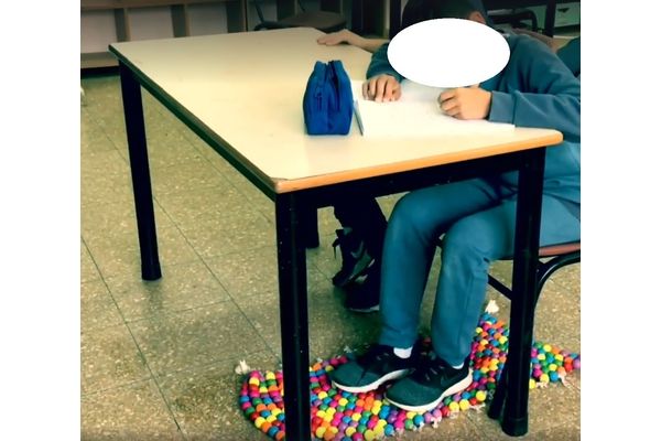 צילום: בית ספר בגין רחובות