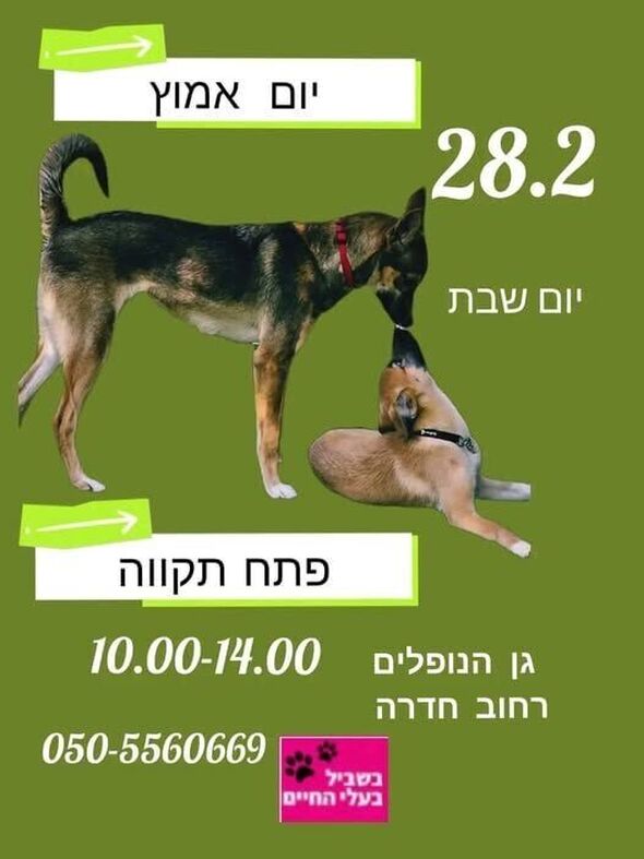 צילום מתוך דף הפייסבוק צדוק בן משה - סגן ראש העיר פ"ת