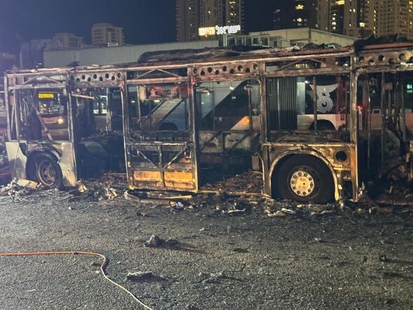 מתוך העמוד של צביקה ברוט