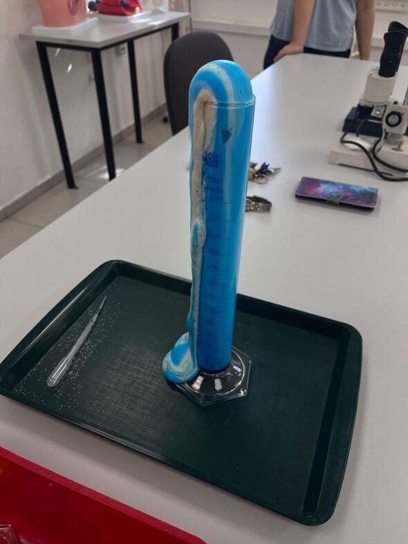 צילום מתוך דף הפייסבוק גימנסיה גן נחום