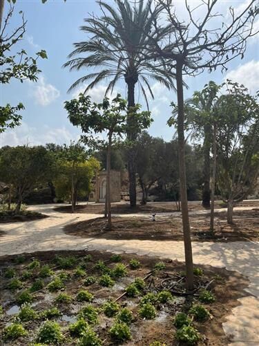 צילום: אורי לווינגר עבור סטודיו אורבנוף 