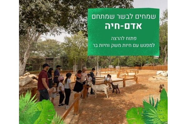 צילום:שי פרי