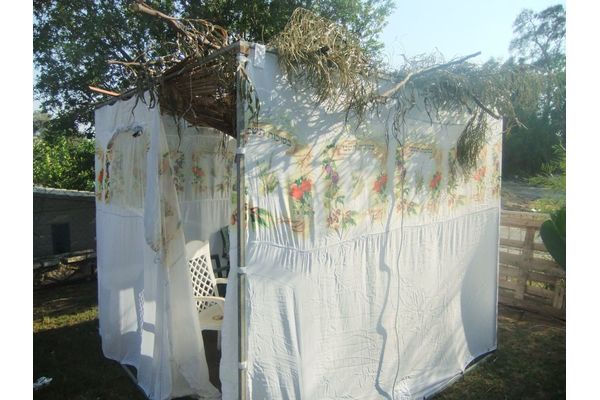קרדיט: מוזיאוני בת ים פייסובק