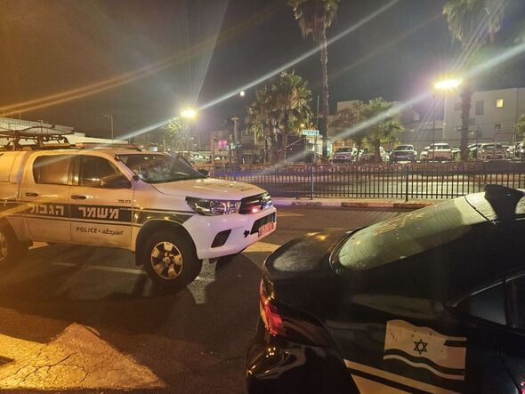 קרדיט צילום: דוברות המשטרה