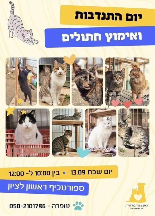 צילום מתוך דף הפייסבוק עמותת ראשון אוהבת חיות
