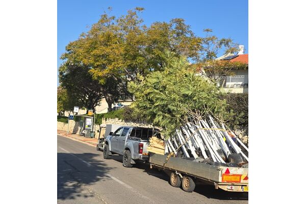 צילום מתוך דף הפייסבוק המרכז הרפואי שיבא תל השומר