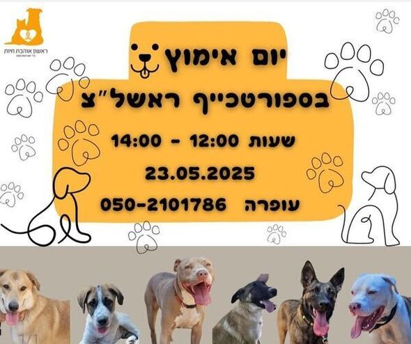צילום מתוך דף הפייסבוק עמותת ראשון אוהבת חיות