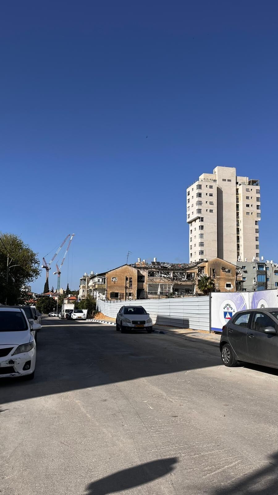 דוברות עירי2