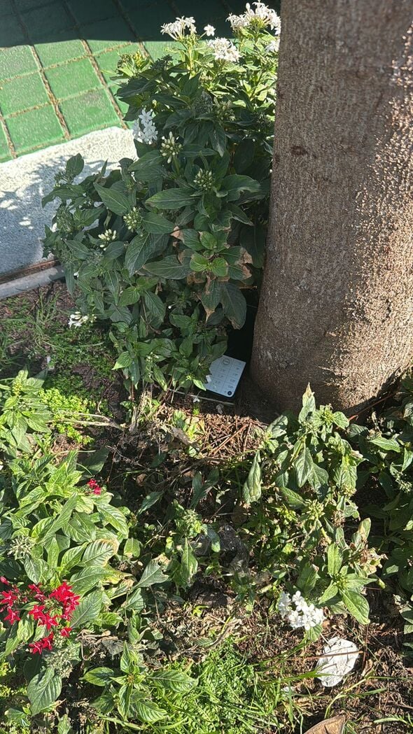 דוברות המשטרה