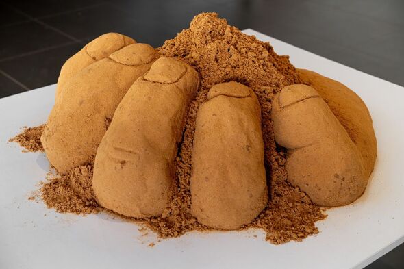 צילום: נועה קורניק