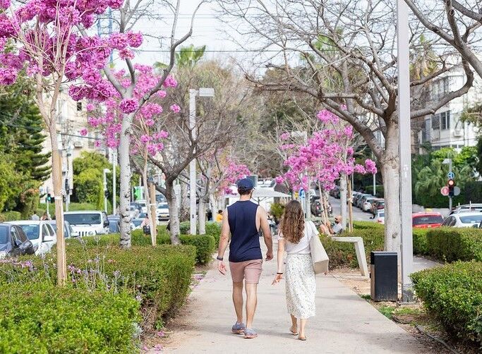 אהרוני 2 אהרוני 2