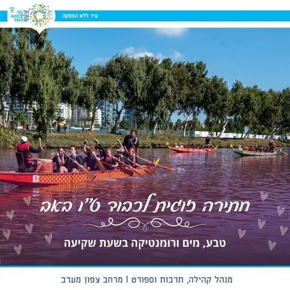 צילום:נדב אבס