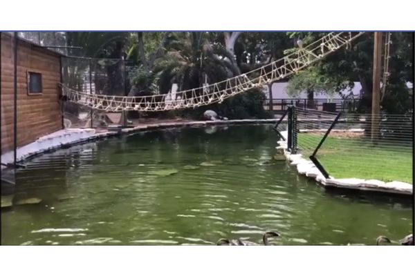 צילום: החי כיף