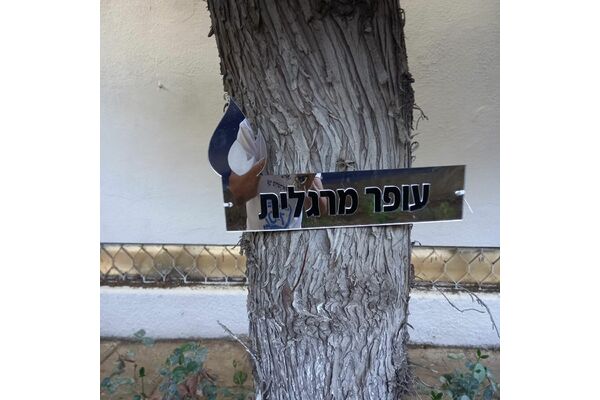 בית הספר הס