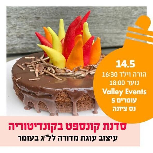 צילום מתוך דף הפייסבוק החברה לתרבות ופנאי - נס ציונה