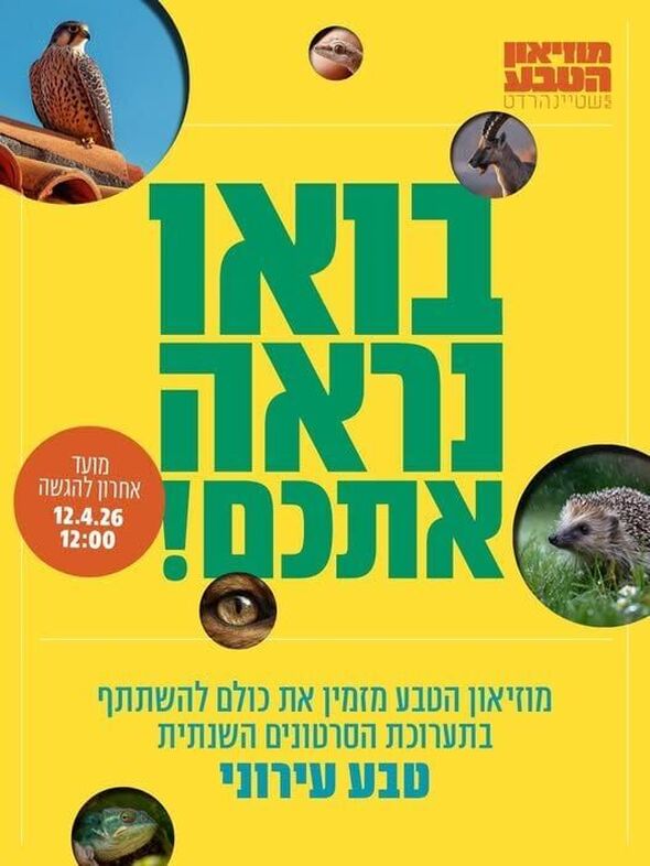 צילום מתוך דף הפייסבוק מוזיאון הטבע ע״ש שטיינהרדט, אונ' תל אביב