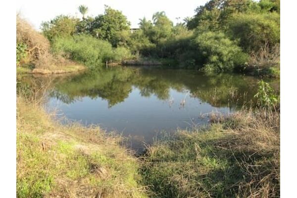 קרדיט: עיריית חולון