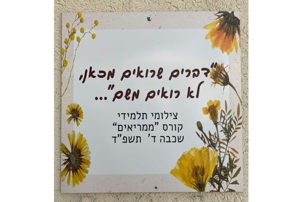 צילום מתוך דף הפייסבוק שריד רחובות