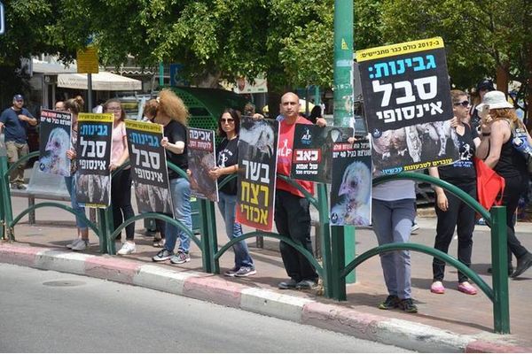 תמונת ארכיון