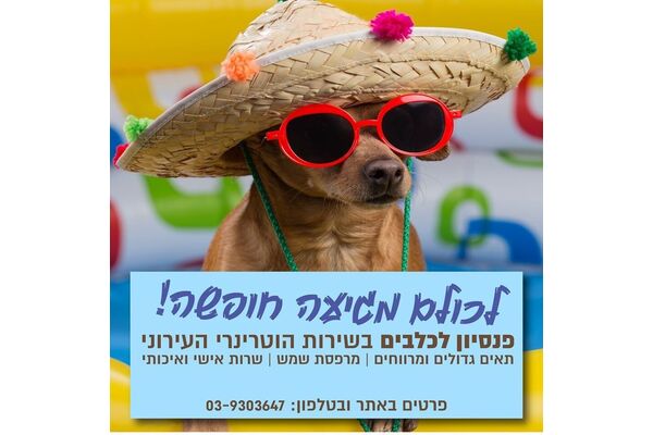 צילום מתוך דף הפייסבוק שרות וטרינרי עיריית פתח תקווה