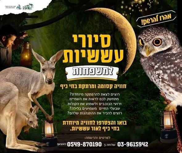 צילום מתוך דף הפייסבוק חי-כיף, גן החיות ראשון לציון