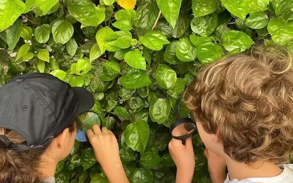 צילום מתוך דף הפייסבוק בית ליבלינג - מרכז העיר הלבנה