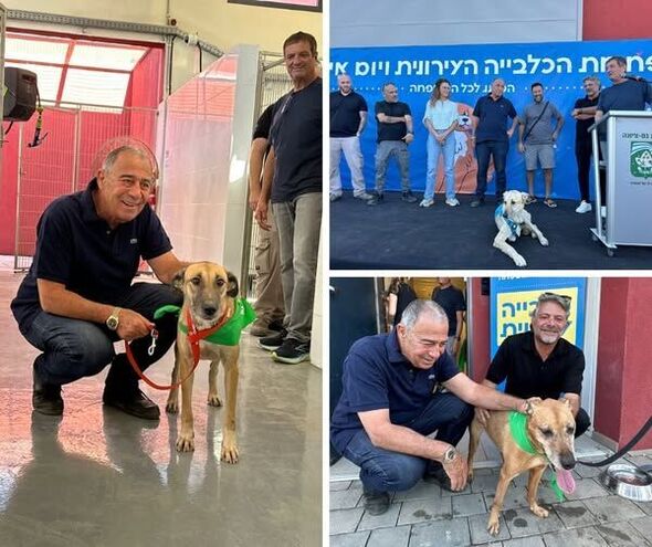 צילום:ליאור אלימלך