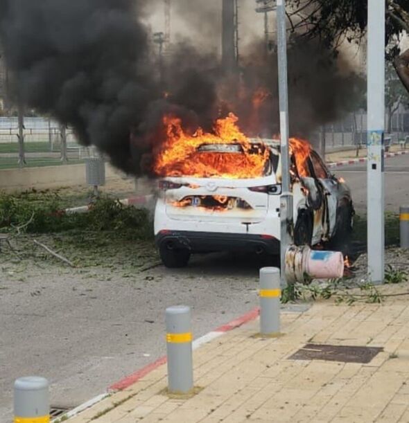 צילומים: צוות פופאי ישראל